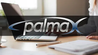 Strony i sklepy internetowe Rzeszów - Palmax